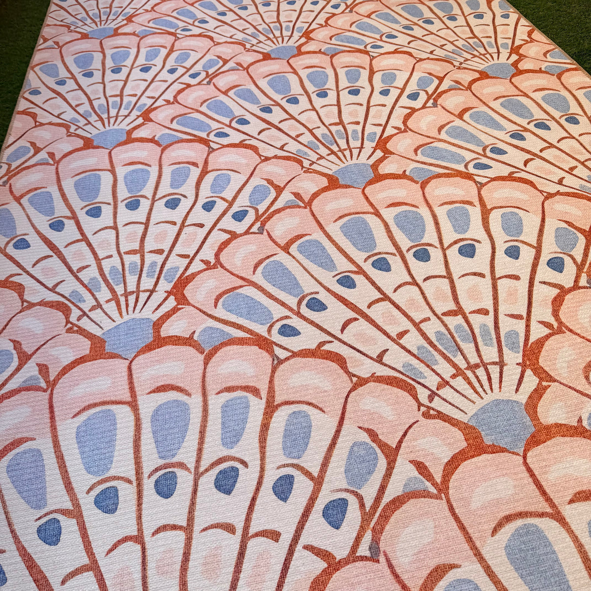 Seashell Fans