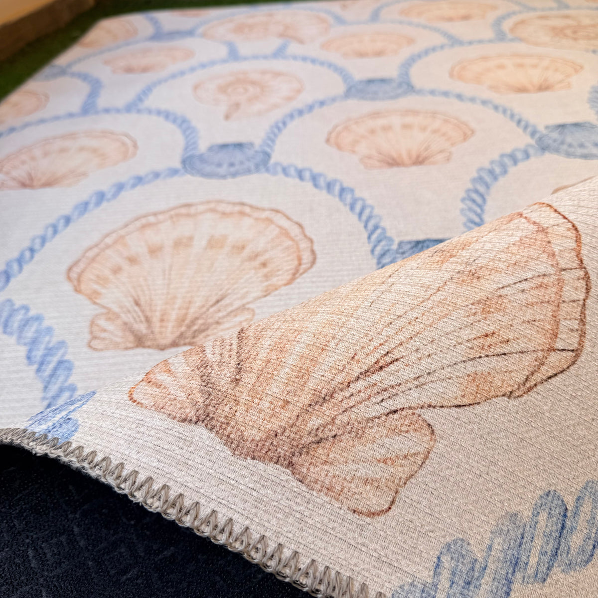 Sail and Shell