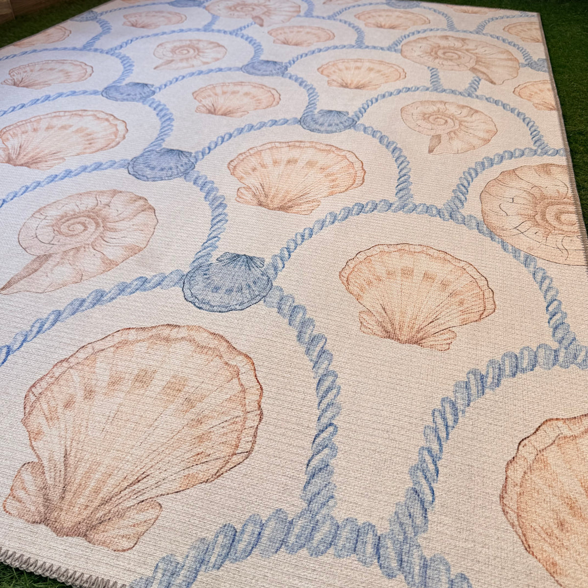Sail and Shell