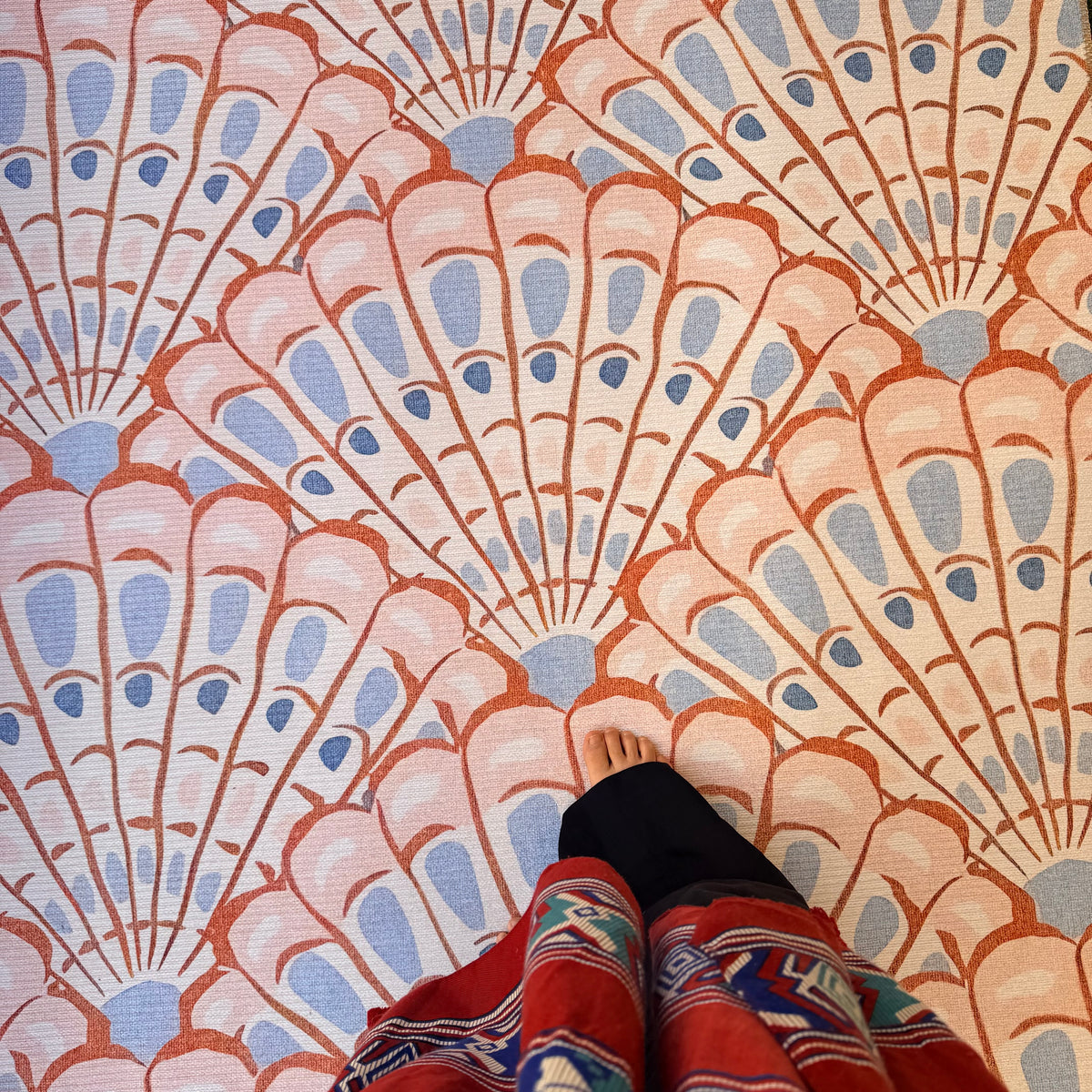 Seashell Fans