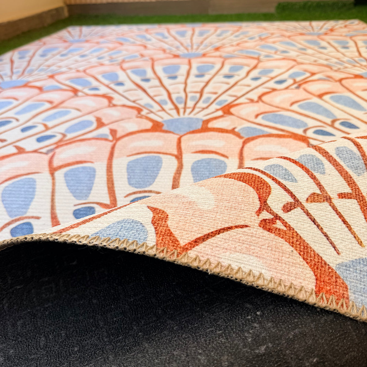 Seashell Fans