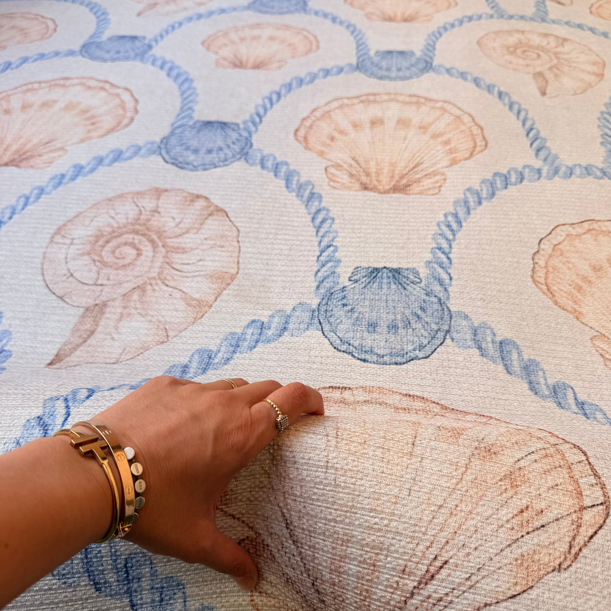 Sail and Shell